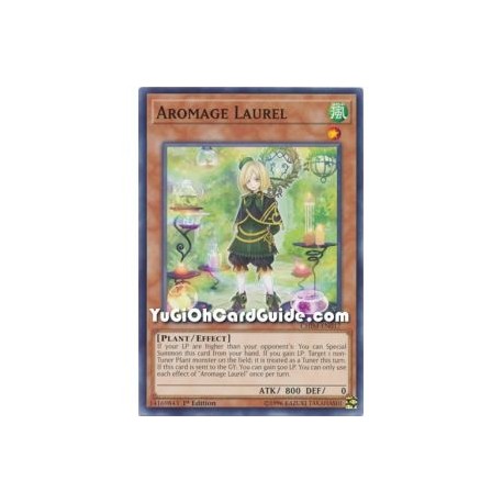 Aromage Laurel