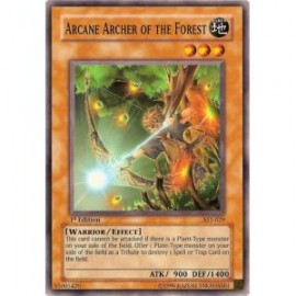 Arcane Archer of the Forest (Common)