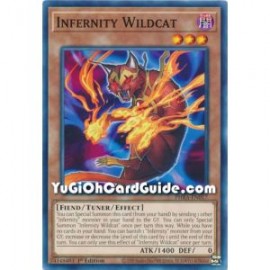 Infernity Wildcat