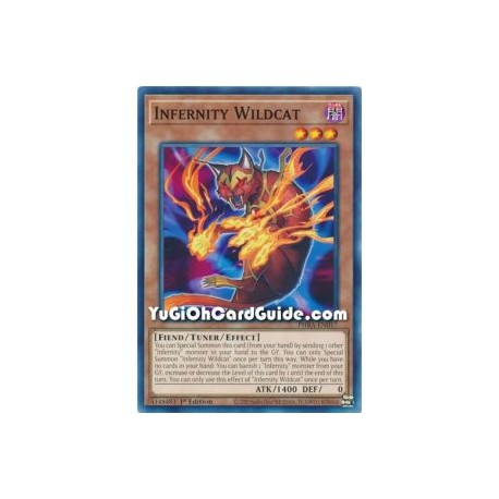 Infernity Wildcat