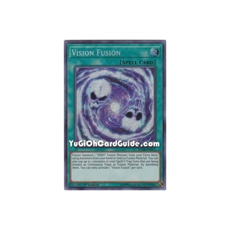 Vision Fusion