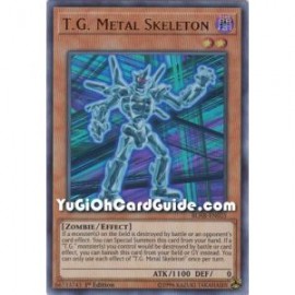 T.G. Metal Skeleton